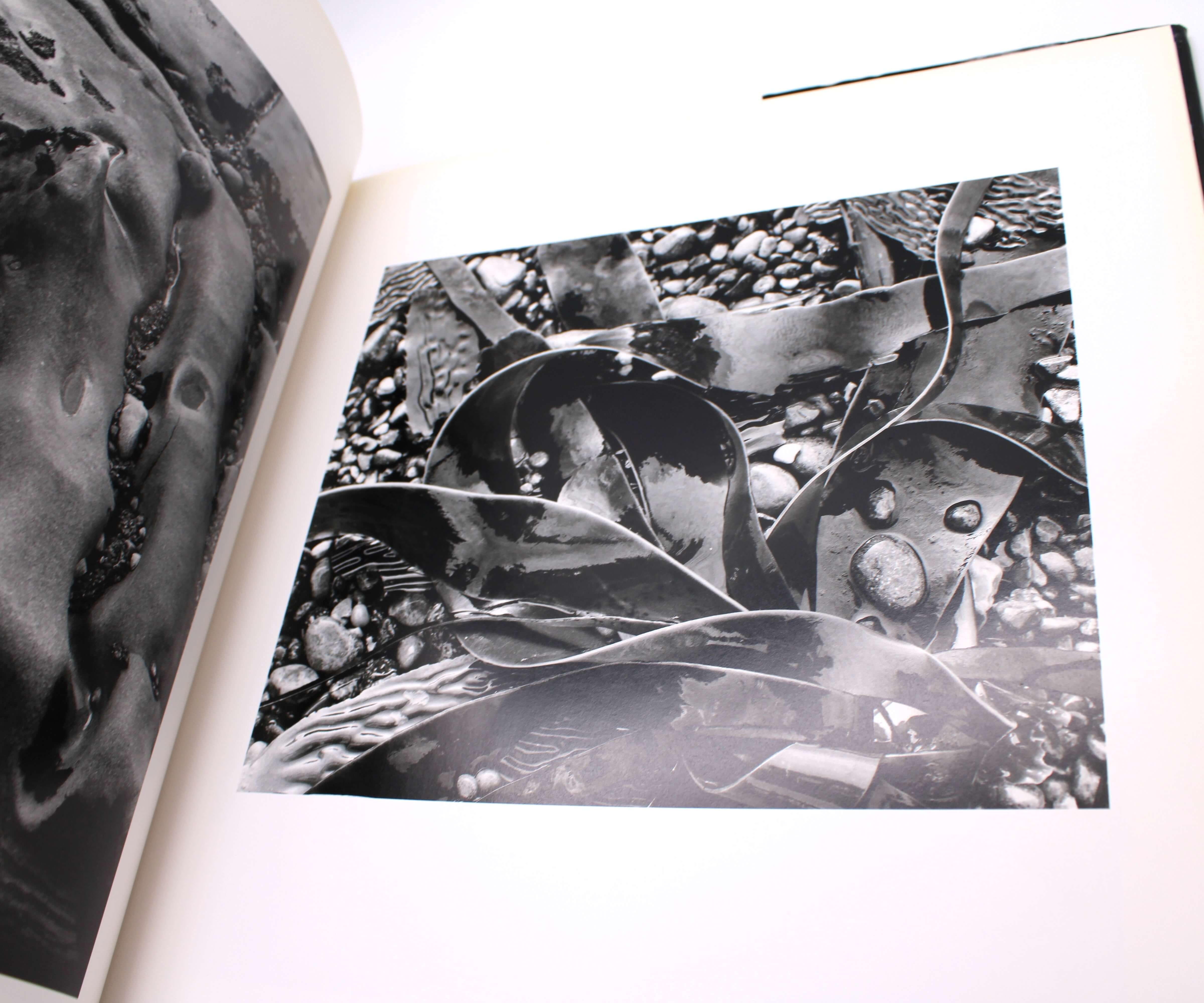 Brett Weston A Personal Selection 洋書　写真集 Brett Weston, a Personal Selection: Weston, Brett