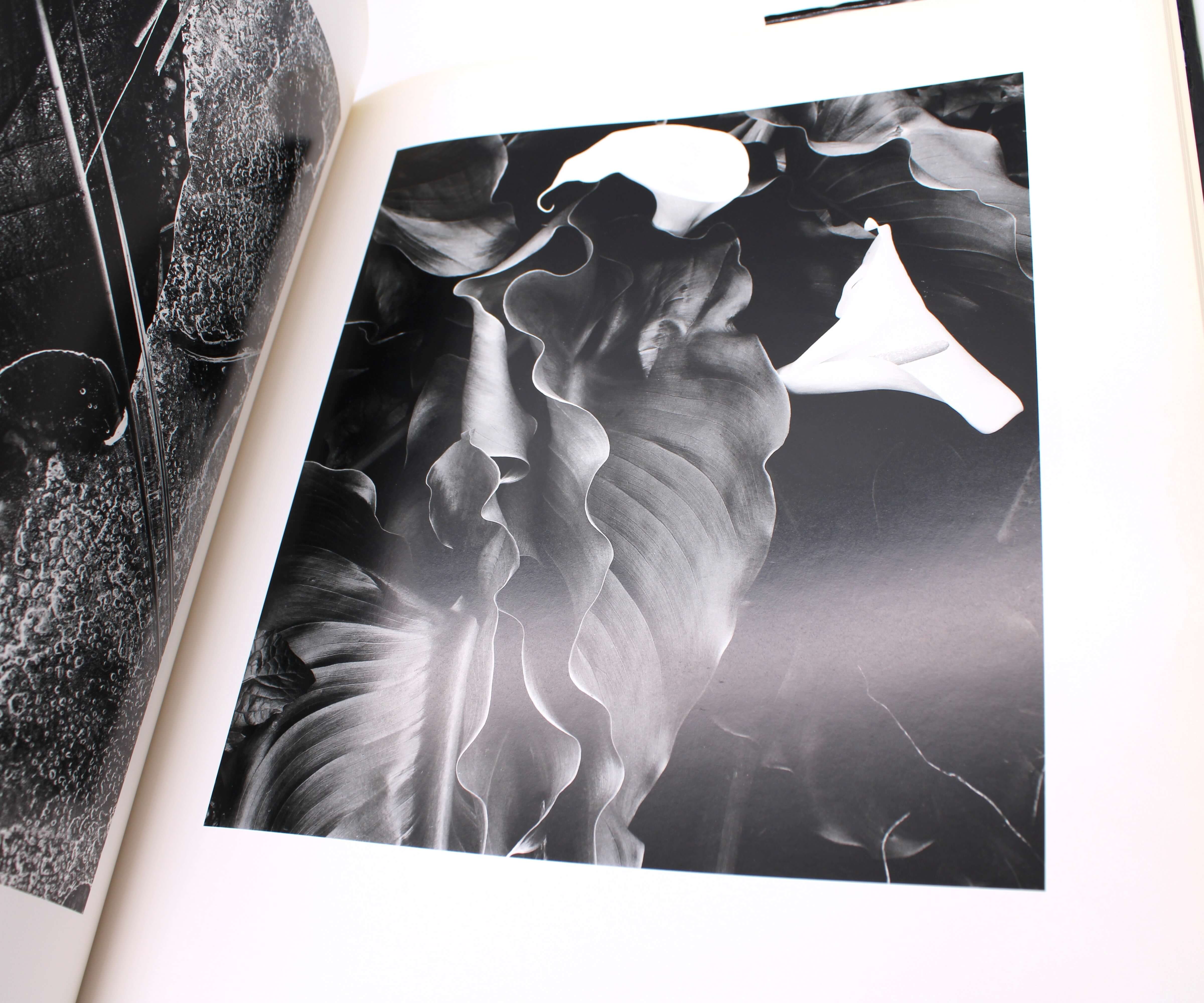 Brett Weston A Personal Selection 洋書　写真集 Brett Weston A Personal Selection 洋書 写真集 Brett Weston, a